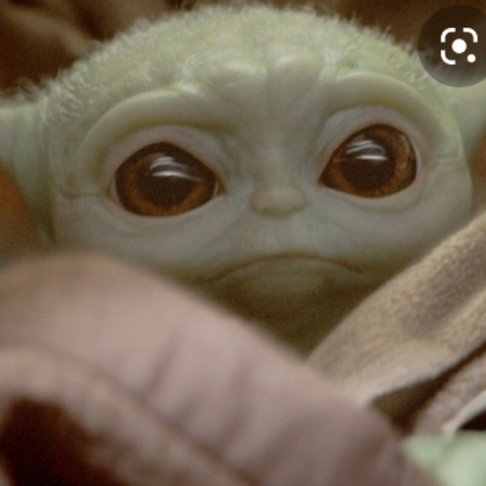 Meet your Posher, Arlene